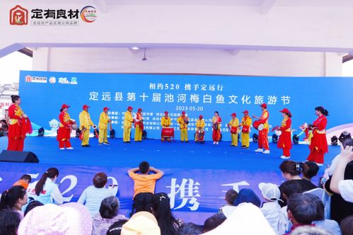 鱼跃池河 诗画定远——第十届池河梅白鱼文化旅游节文体活动策划方案
