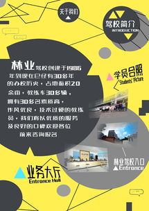 广告设计的艺术与科学